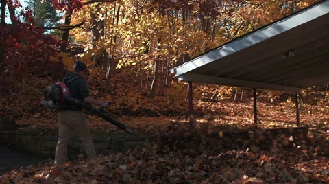 Landscaper blows leaf-covered driveway Stock Footage 44785893