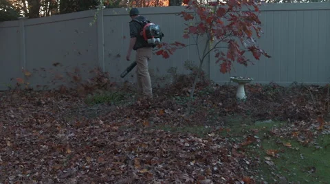 Landscaper clears garden bed with leaf blower Stock Footage 44786475