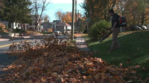 Landscaper clears sidewalk with leaf blower Stock Footage 44786470