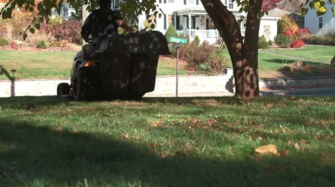 Landscaper collects leaf bits with tractor Stock Footage 44780010