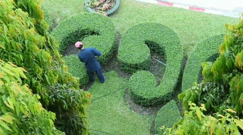 Landscaper Vidéo 712398