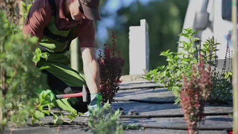 Landscaper Installing Drip Irrigation System in a Newly Developed Garden Vídeos de archivo 203554643