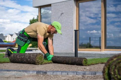 Landscaper installing turf outside modern house Stock Photos