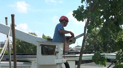 Landscaper man cutting tree branches, chain saw sound Stock-Footage 56224658