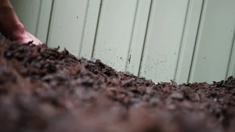 Landscaper or Contractor Adjusts New Brown Rubber Mulch 2 Vidéo 334979807