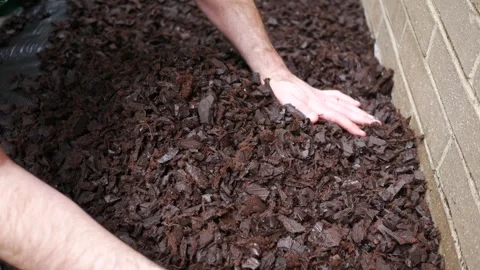 Landscaper or Contractor Adjusts New Brown Rubber Mulch Stock Footage 334979808