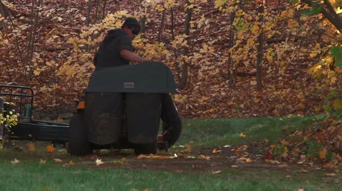Landscaper picks up leaves with tractor Stock Footage 44782799
