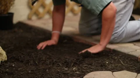 Landscaper spreading mulch Vídeos de archivo 10683724