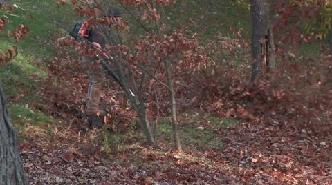 Landscaper steps over small stream and clears leaves Stock Footage 44785755