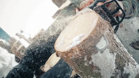Landscaper using chainsaw to slice the trunk of a tree that fell during a storm Видео 336570849