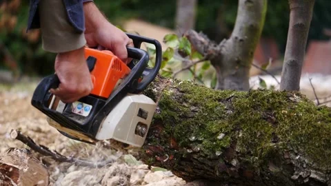 Landscaper using chainsaw to slice the trunk of a tree that fell during a storm 動画素材 336570937