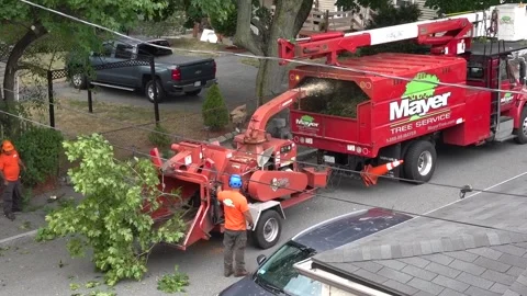Landscapers feed tree branches into machine to produce wood chips Stock Footage 137279398
