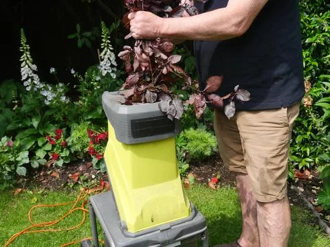 Landscapers using chipper machine to shred branches Stock Photos