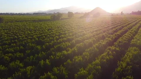 Landscapes in Chile Video stock 144071994