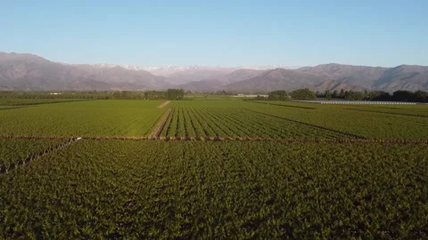 Landscapes in Chile Video stock 144072144