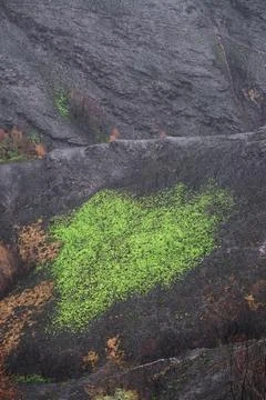 Landscapes devastated by forest fires in Courel Lugo Galicia Stock Photos