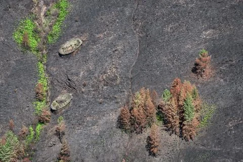 Landscapes devastated by forest fires in Courel Lugo Galicia Stock Photos