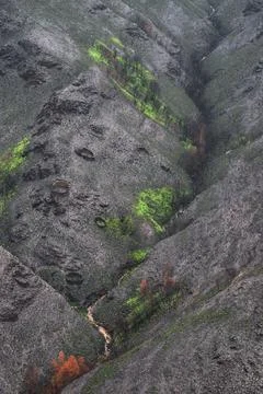 Landscapes devastated by forest fires in Courel Lugo Galicia Foto stock