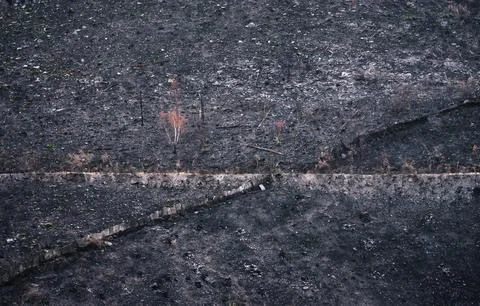 Landscapes devastated by forest fires in Courel Lugo Galicia Foto stock