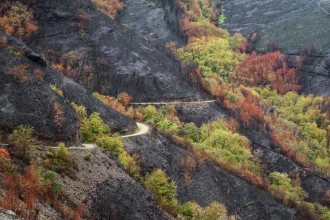 Landscapes devastated by forest fires in Courel Lugo Galicia Stock Photos