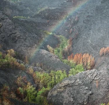 Landscapes devastated by forest fires in Courel Lugo Galicia Stock Photos
