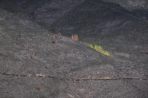 Landscapes devastated by forest fires in Courel Lugo Galicia Foto stock