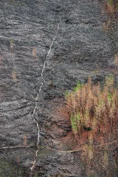 Landscapes devastated by forest fires in Courel Lugo Galicia Stock Photos