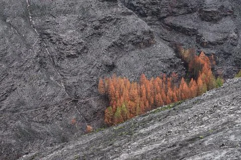 Landscapes devastated by forest fires in Courel Lugo Galicia Stock Photos