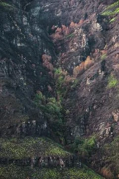 Landscapes devastated by forest fires in Courel Lugo Galicia Stock Photos