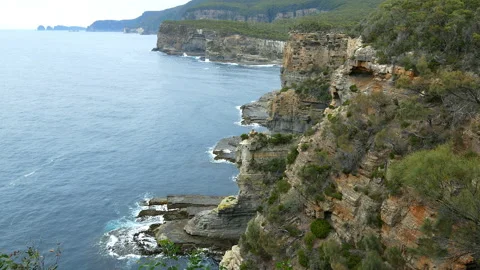 Landscapes. Limestone Cliffs in Tasman Peninsula, showing the layers. Tasmania Stock Footage 140623927
