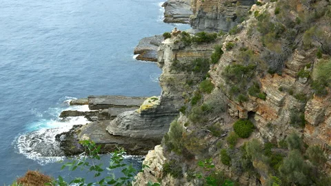 Landscapes. Limestone Cliffs Tasman Peninsula Stock Footage 140624204