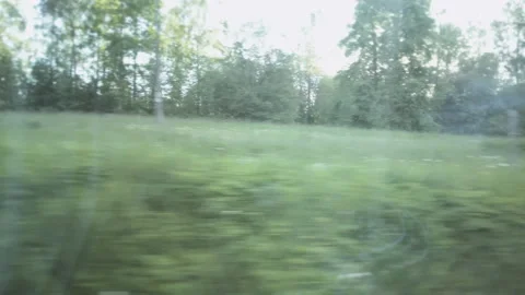 Landscapes outside the train window, sun rays between trees, bright blue sky Stock Footage 162217888