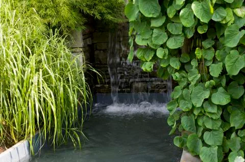 Landscapes Stock Photos