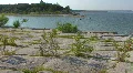 Landscapes From Texas HD Footage