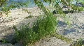 Landscapes From Texas HD Footage