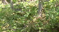 Landscapes From Texas HD Footage