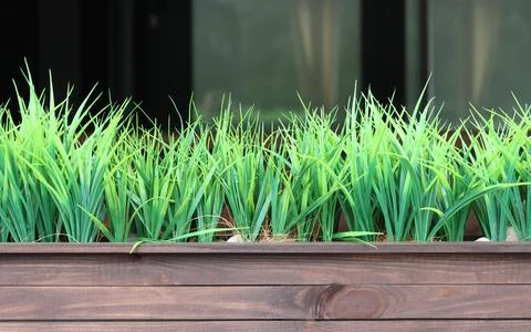 Landscaping of the adjoining space. 스톡 사진