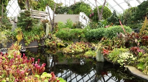 Landscaping with artificial pond in the Cloud Forest, Singapore Stock Footage 49213950