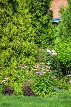 Landscaping of the backyard Stock Photos