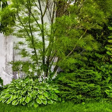 Landscaping of the backyard Stock Photos