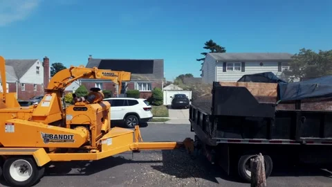 A landscaping crew process tree debris with wood chipper and haul-away truck in Stock Footage 337941110
