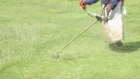 Weed wacker to cut grass hot sale