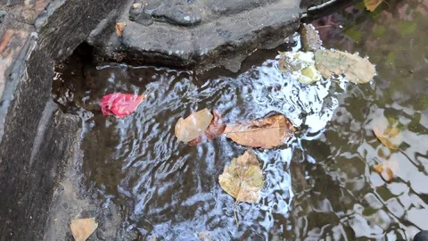 Landscaping design - a mini pond with a small fountain. The concept of creative  Stock Footage 118082061