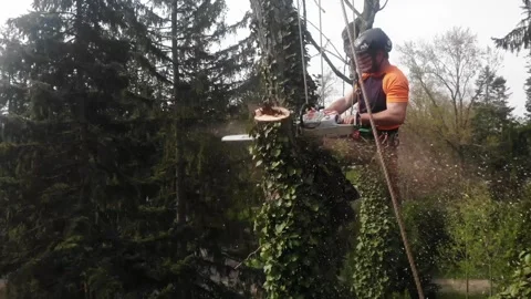Landscaping drone shot of guy in tree Stock Footage 201128118