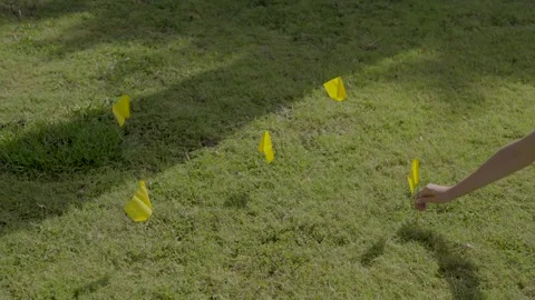 Landscaping flags placed on lawn.mov 库存影片 342294311