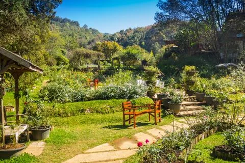 Landscaping in the garden. Stock Photos
