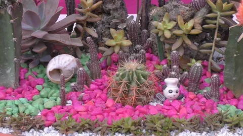 Landscaping of the garden with small statues an Stock Footage 126772235