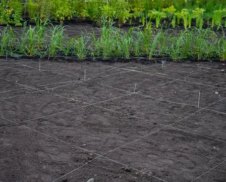 Landscaping. A lined plot of land for planting ornamental plants. Stock Photos