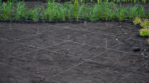 Landscaping. A lined plot of land for planting ornamental plants. Stock Photos