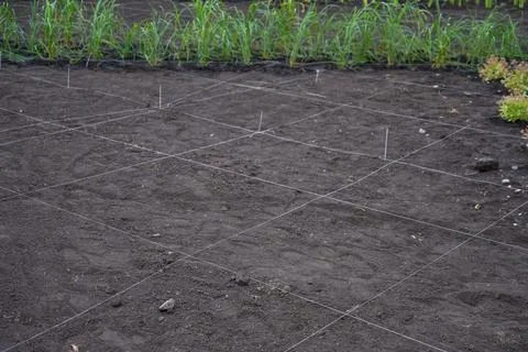 Landscaping. A lined plot of land for planting ornamental plants. Stock Photos